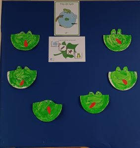 Frog life cycle